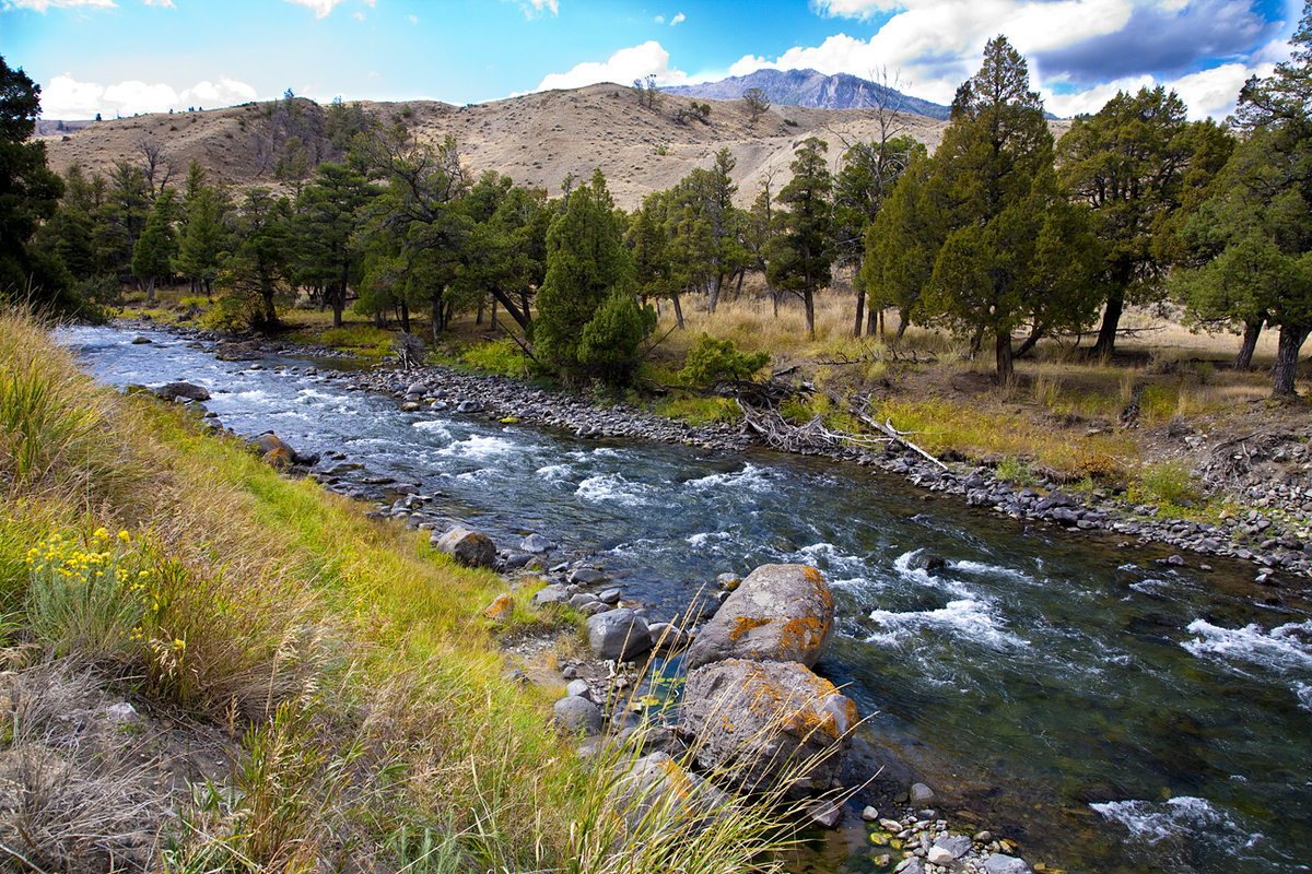  River Rush