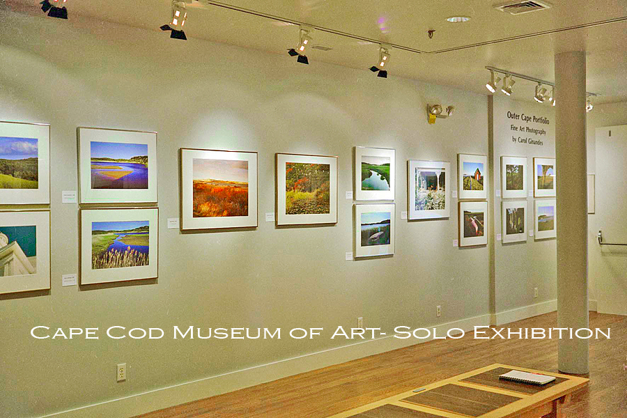 Solo Exhibition-
Cape Museum of Art