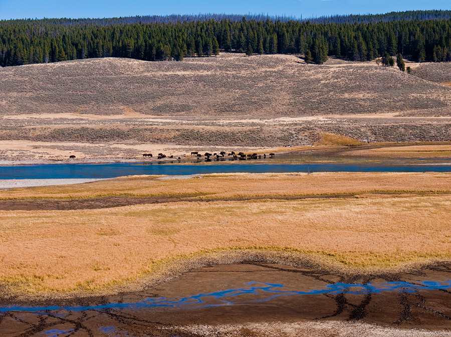 Layered Landscape 