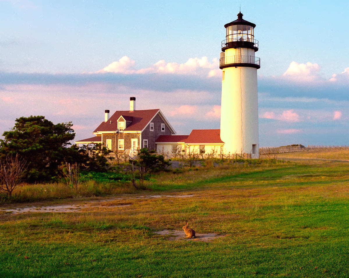 Lighthouse Bunny