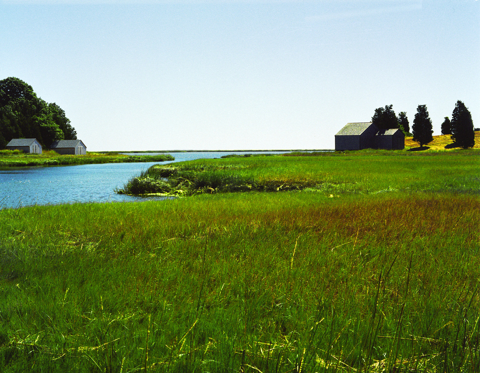 Salt Pond Idyll