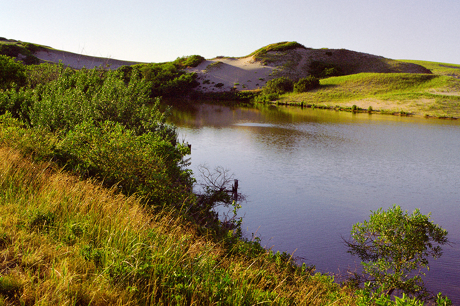 Peace at Pilgrim Lake