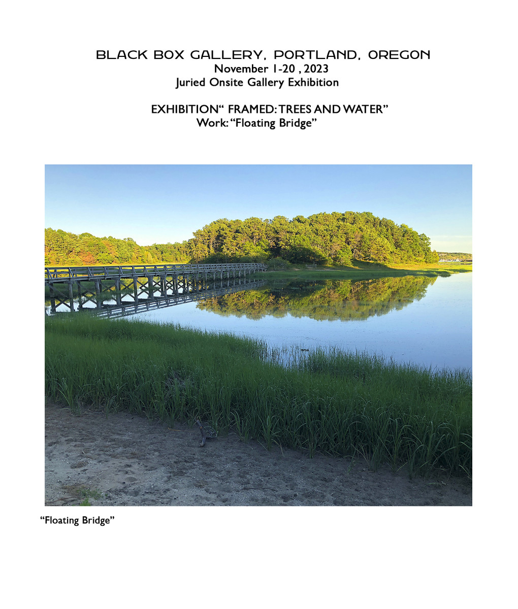 Black Box Gallery:"Framed:Trees and Water"