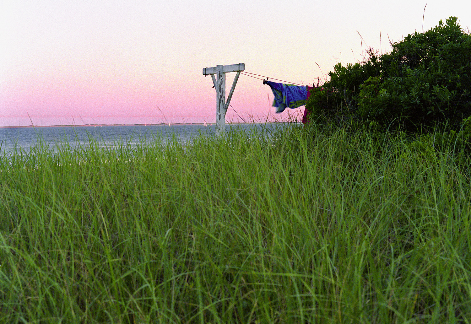 Windy Dusk