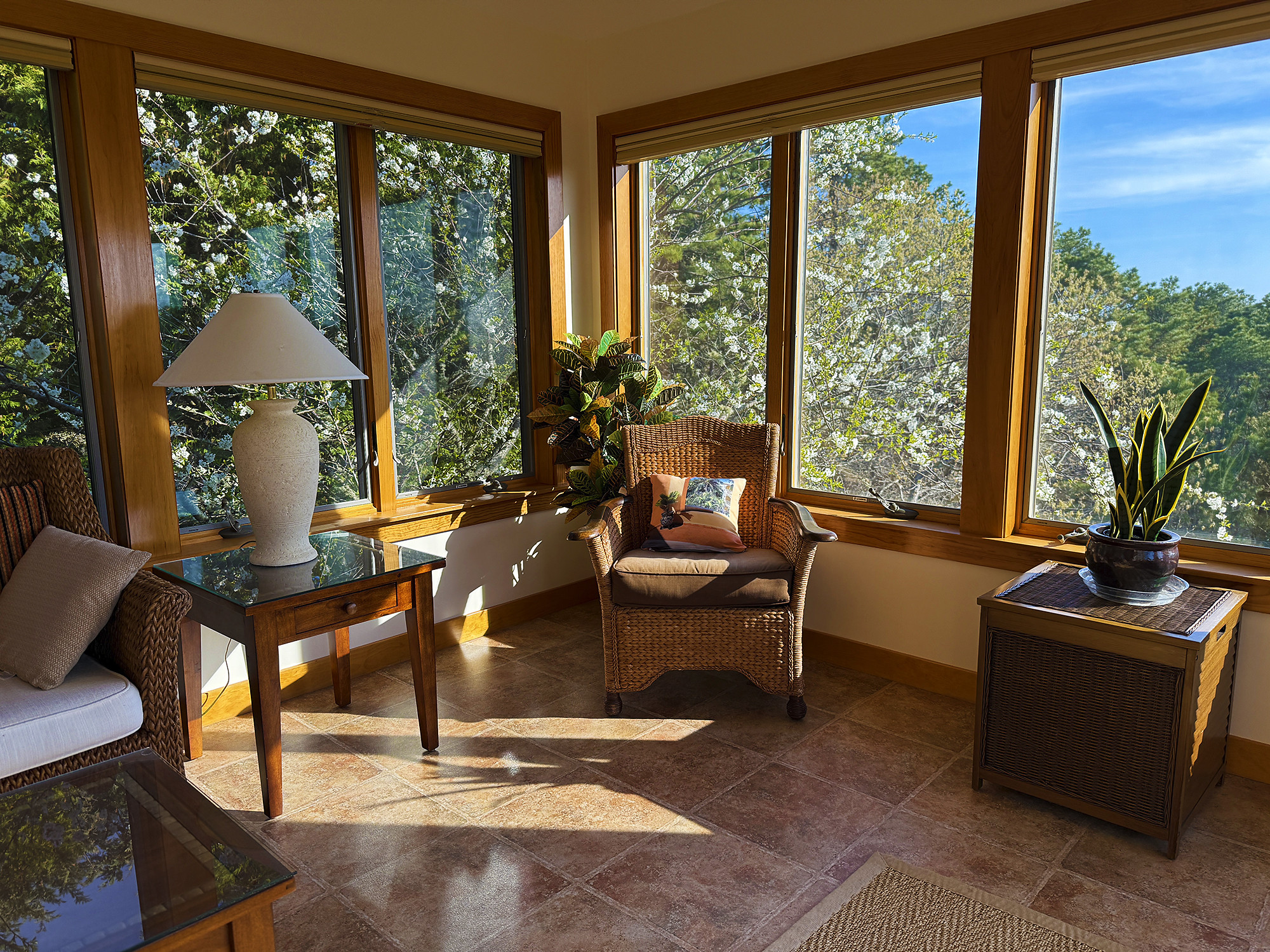 In the Sunroom